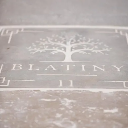 Villa 11 - Venkovsky Dum Blatiny